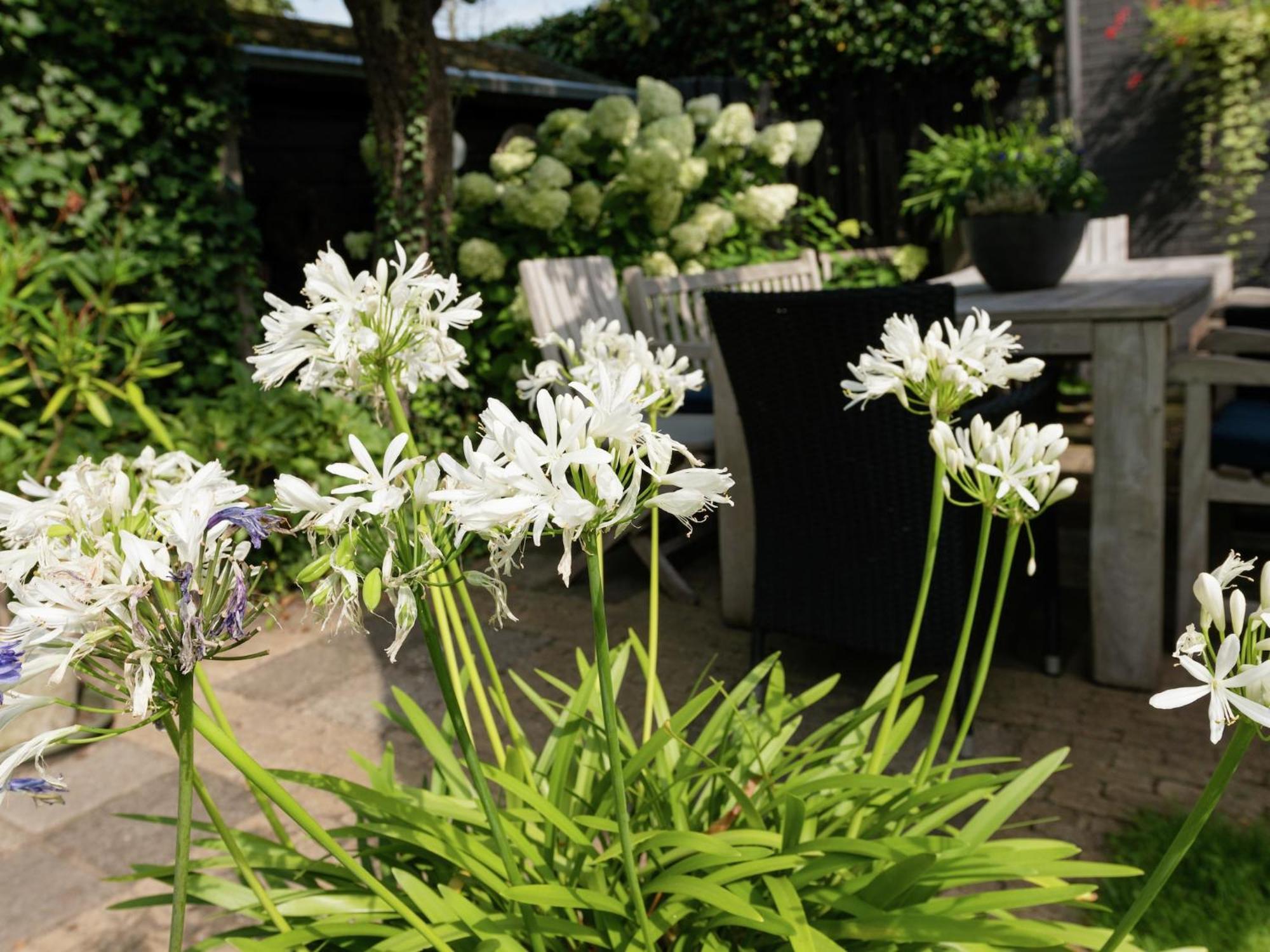 Alluring Apartment In Bergen With Terrace Garden And Bbq المظهر الخارجي الصورة
