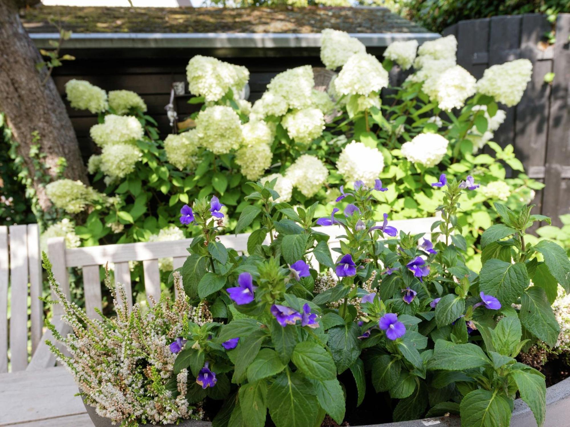 Alluring Apartment In Bergen With Terrace Garden And Bbq المظهر الخارجي الصورة